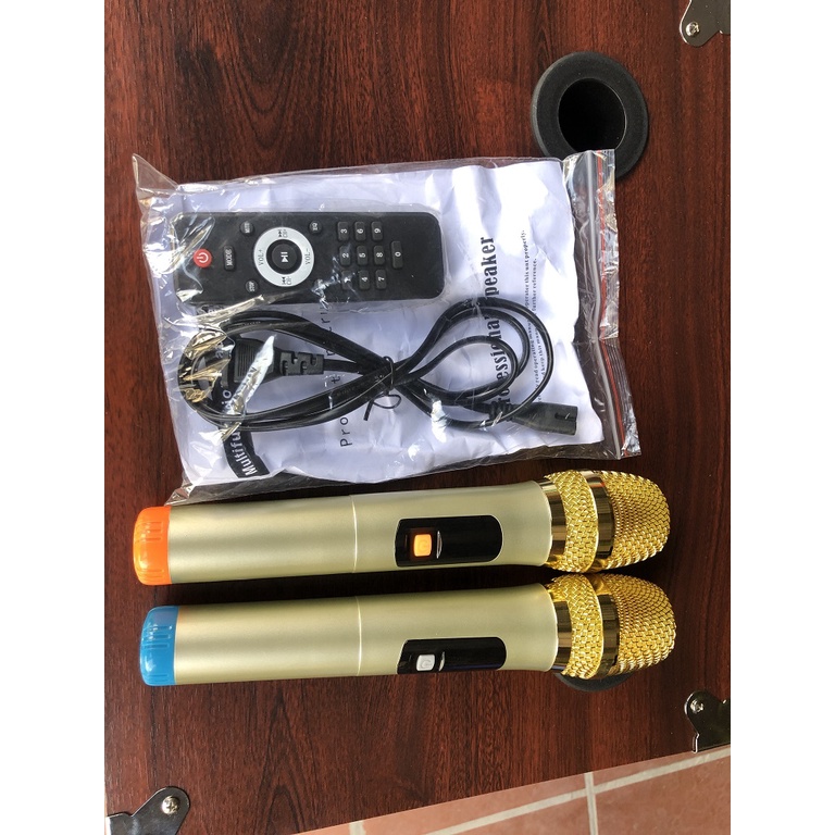 Loa Kéo Karaoke Bass 40 2 đường tiếng Vỏ Gỗ Đời Mới Tặng 2 Micro Cao Cấp Siêu Hút Âm