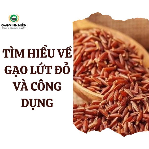 Gạo lứt đỏ, gạo lứt hữu cơ dành cho người ăn kiên, người bệnh tiểu đường