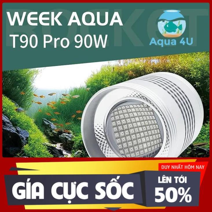 Đèn Week T90 Pro RGB-UV lên màu cực đẹp - SUN AQUARIUM