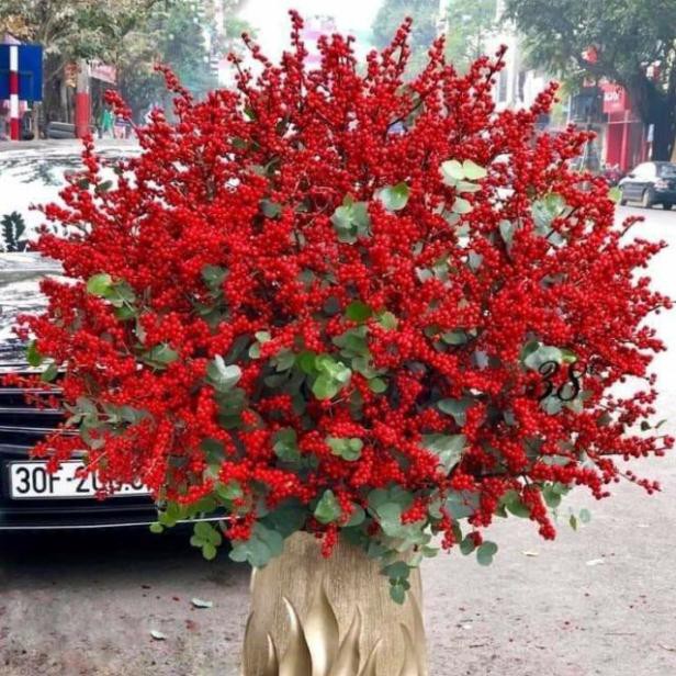 Hoa giả - Đào đông