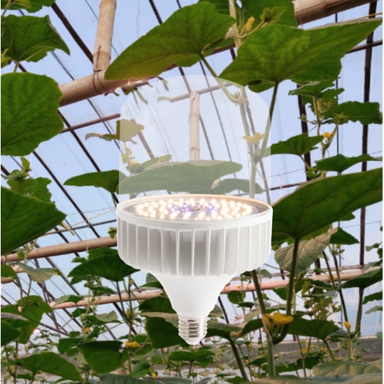 Đèn Led trồng cây Rạng Đông 50W 220V có UV, đèn quang hợp cho cây trong nhà, kích thích tăng trưởng