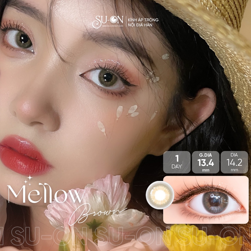 Lens 1 ngày Ann365 MELLOW GRAY áp tròng 14,2mm, xám tây tro khói, siêu êm đeo 24h
