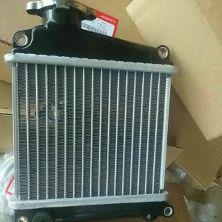 Két nước lead 110