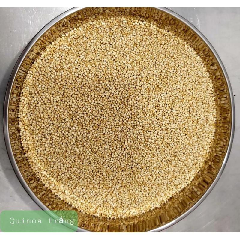 Hạt Quinoa ( diêm mạch) Úc túi 500gr