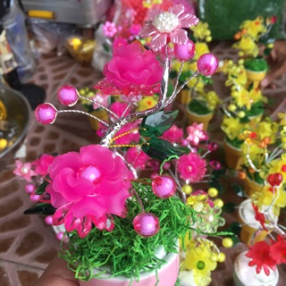 Chậu hoa pha Lê nhỏ giá 1 chậu 25,000₫