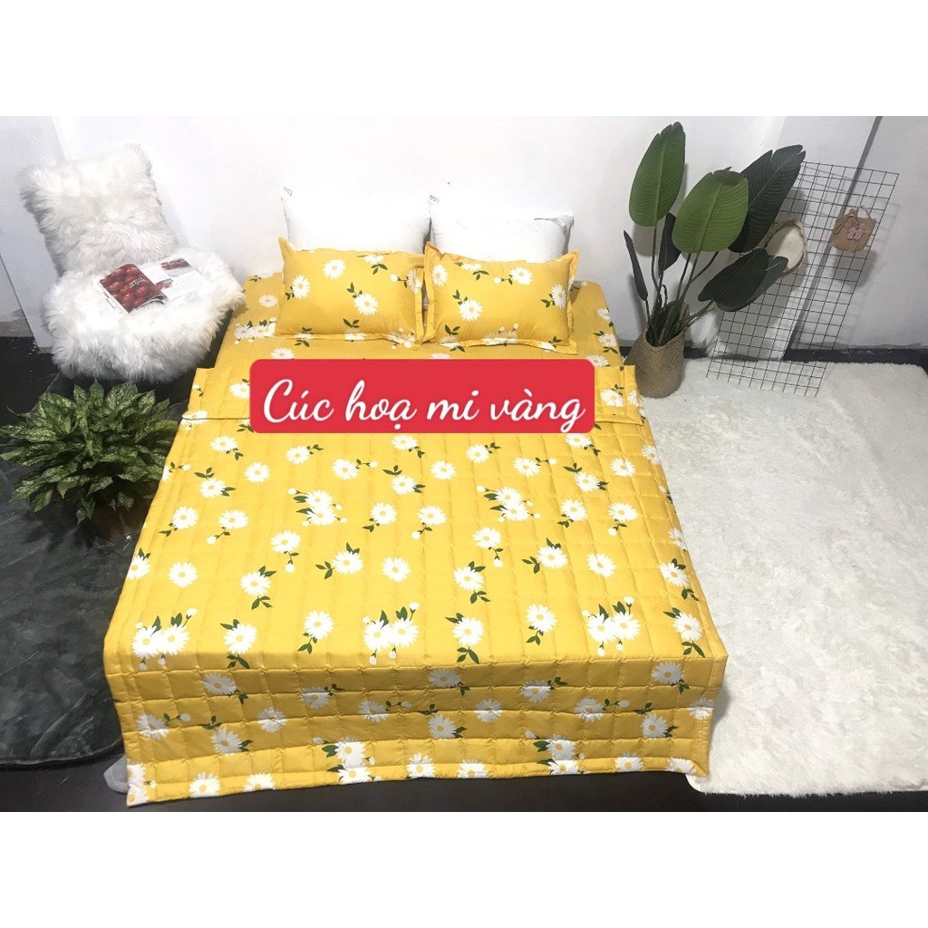 MẪU CÚC HỌA MI VÀNG