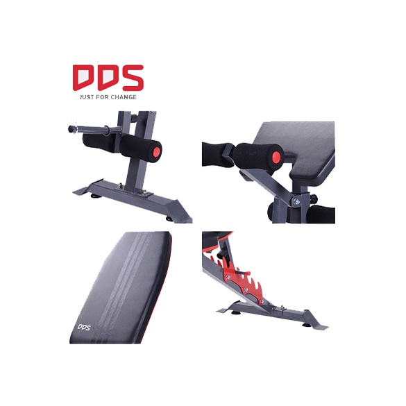 Ghế tập Gym đa năng DDS-1205, Ghế tập tạ cao cấp