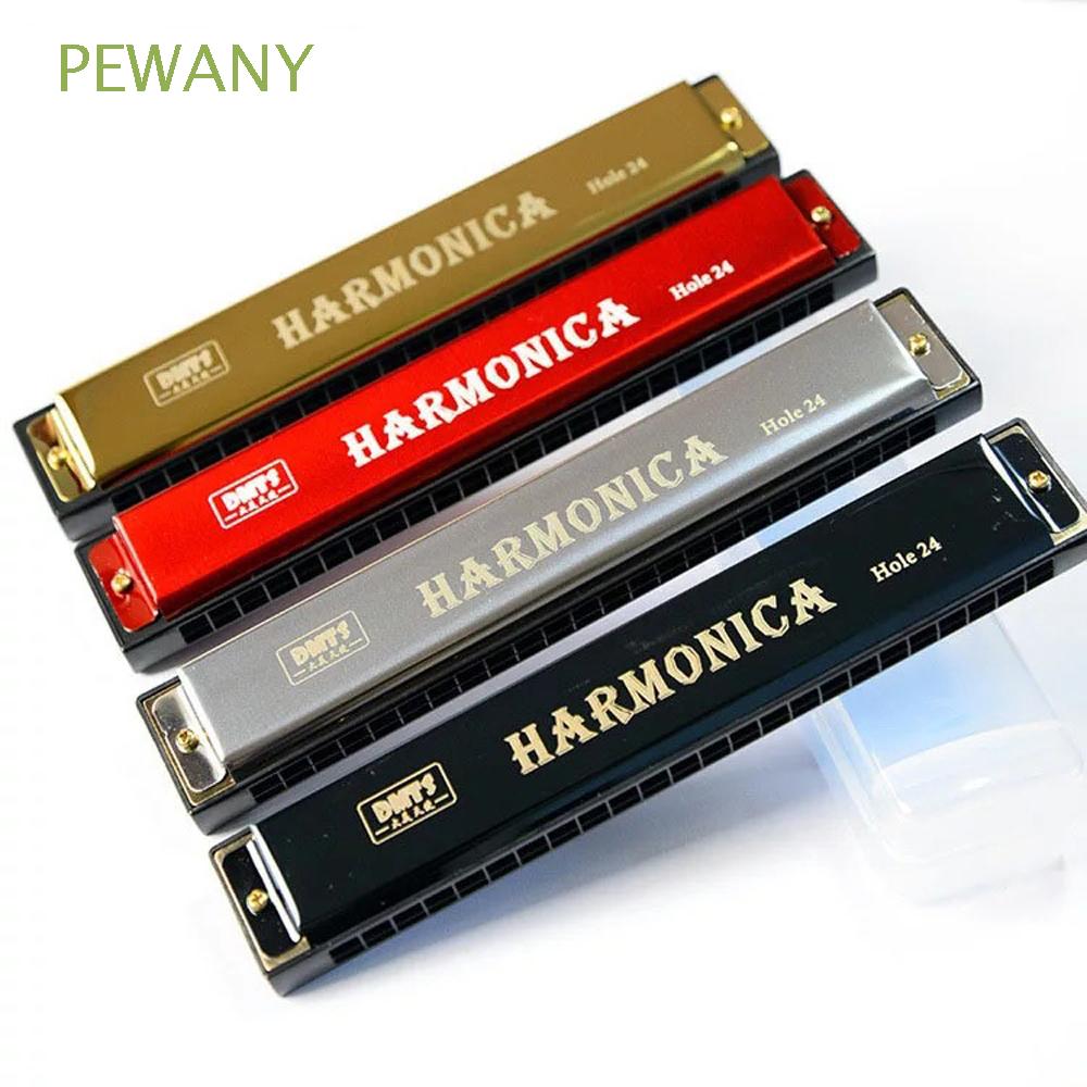 Kèn Harmonica Tremolo 24 Lỗ Dành Cho Người Mới Bắt Đầu