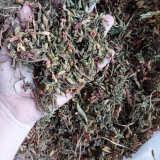 Sỉ như lẻ 1kg nụ hoa đu đủ đực khô