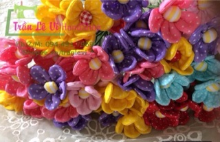 SỈ HOA DÂU TÂY