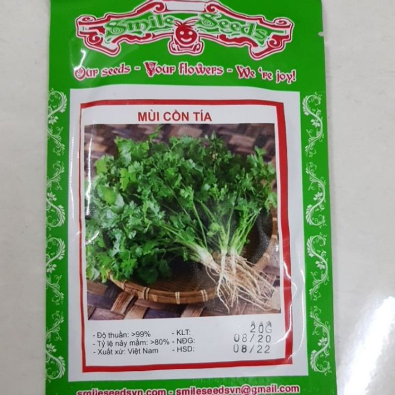 HẠT GIỐNG RAU MÙI - 20g