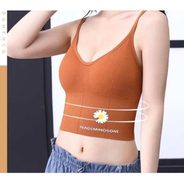 Áo bra 2 dây hoa cúc chất liệu cotton dày dặn mút áo dạng vừa và có thể tháo rời Việt Tiến ACC62