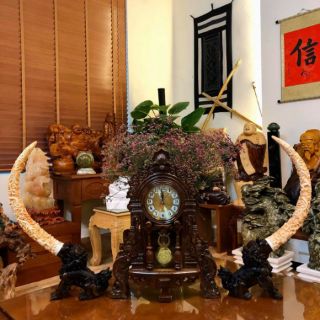 [Phong thủy]Cặp tỳ hưu ngậm ngà trấn trạch