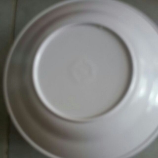 Dỉa  mica trung trắng