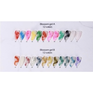 SET CỒN LOANG VENDEENI 12MÀU