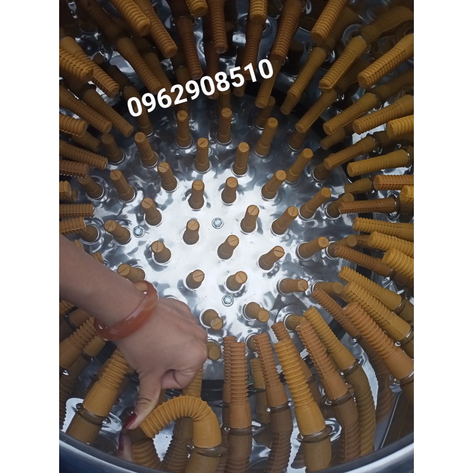 Combo 50 cao su vặt lông gà