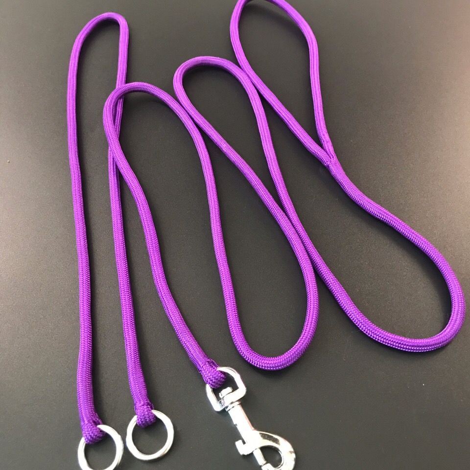 dog leash p-chain thi đấu chuyên nghiệp cấp độ dây kéo xích vật nuôi p-wire vòng cổ con chó có thể thu vào nylon