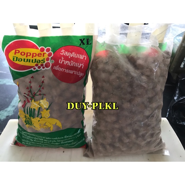 VIÊN ĐẤT NUNG THÁI ( ĐÁ LECCA ) SIZE XL - SỎI NHẸ !