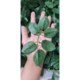 lá hồng thường 250k/kg.