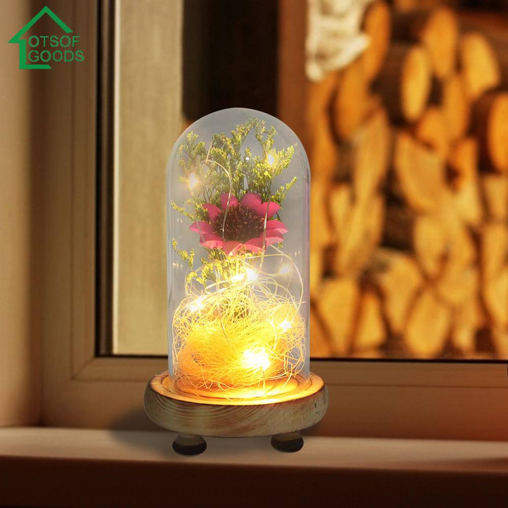 Hoa khô trang trí cho phòng ngủ được bọc kính gắn đèn lung linh