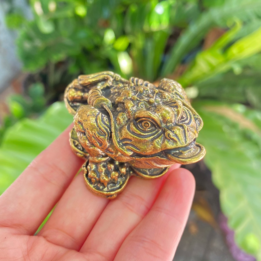 Tượng Đồng Cóc Thiền Thừ 3 Chân Ngậm Tiền chiêu tài lộc - Vật Phẩm Phong Thủy, Đồ Thờ Cúng
