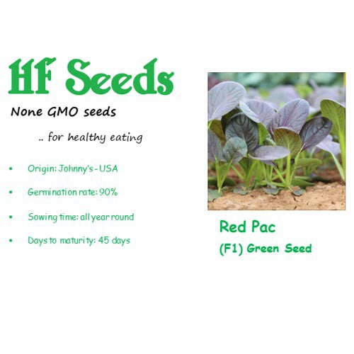 [Hạt giống Mỹ] Hạt giống Cải thìa đỏ Mỹ Red Pac - tỷ lệ nảy mầm 95% (200 hạt) NHẬP KHẨU 100%