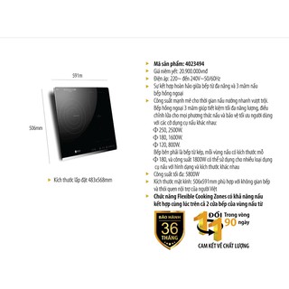 Bếp Elmich ICE-3494
