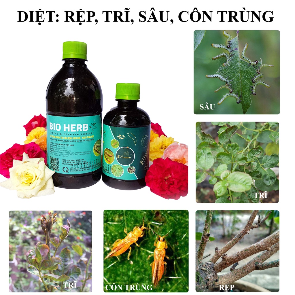 Chế phẩm sinh học thảo mộc ROSAVA phòng ngừa bọ trĩ, nhện, rệp, sâu và côn trùng trên cây cảnh, hoa hồng & hoa lan