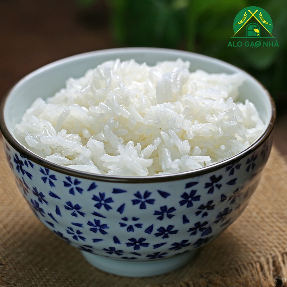 [Gạo Ngon Giá Tốt] Bao Gạo 5kg St25 | Gạo Tím Than | Gạo Lài Sữa | Gạo Lứt và Những loại gạo khác