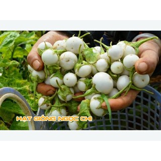 Hạt Giống Quả Cà Pháo Trắng - 1Gr