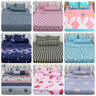 Chăn Hè Trần Bông Vải PoLy Cotton cao cấp