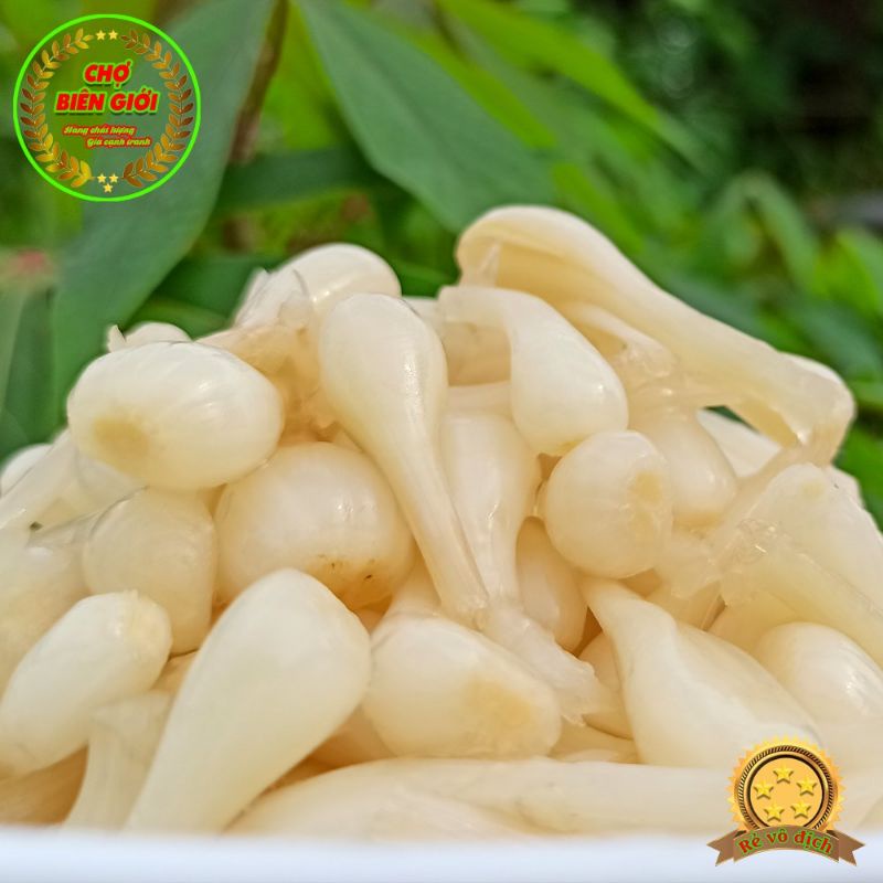 Củ Kiệu Ngâm Chua Ngọt Châu Đốc Giòn Thơm Món Đặc Biệt Cho Ngày Tết Hủ 500gr