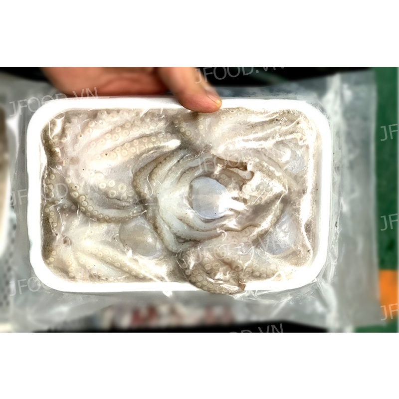 Bạch tuộc sữa - Bạch tuộc nhúng lẩu, nướng, hấp
