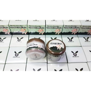 Mặt nạ bì heo Elizavecca Green Pig Collagen Jella Pack