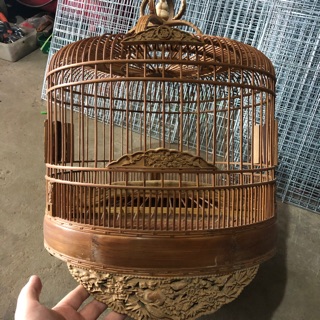 Lồng gáy đục đẹp( kèm áo lồng)