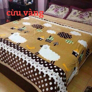 Chăn lông cừu Việt nam