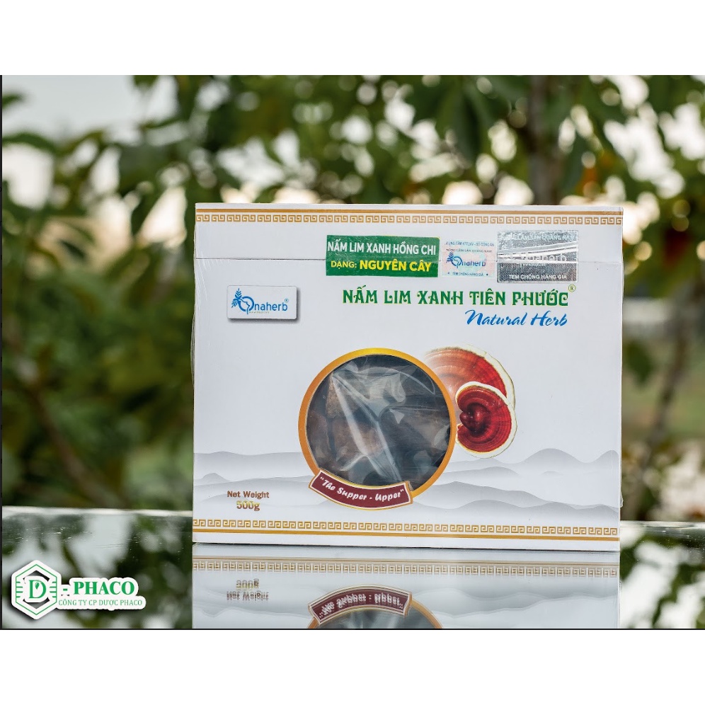 Nấm Lim Xanh nguyên cây 500 gram