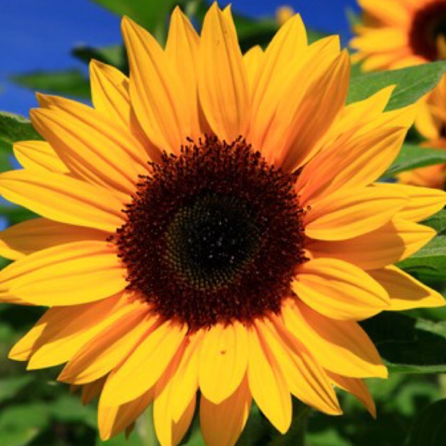 a.one.99, Cửa hàng trực tuyến | BigBuy360 - bigbuy360.vn