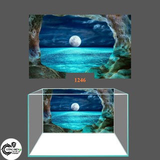 Tranh 3D dán bể cá cảnh hồ thuỷ sinh