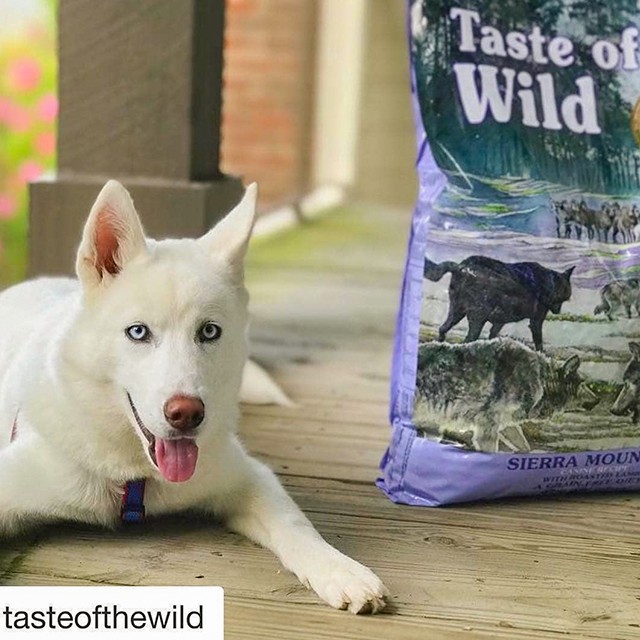 Thức Ăn Cho Chó Doberman Taste Of The Wild Bao 2kg - Thức Ăn Cho Chó, Vị Thịt Cừu, Trái Cây Rau Củ Quả Sierra Mountain