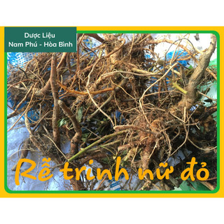 1kg rễ trinh nữ đỏ - rễ cây xấu hổ
