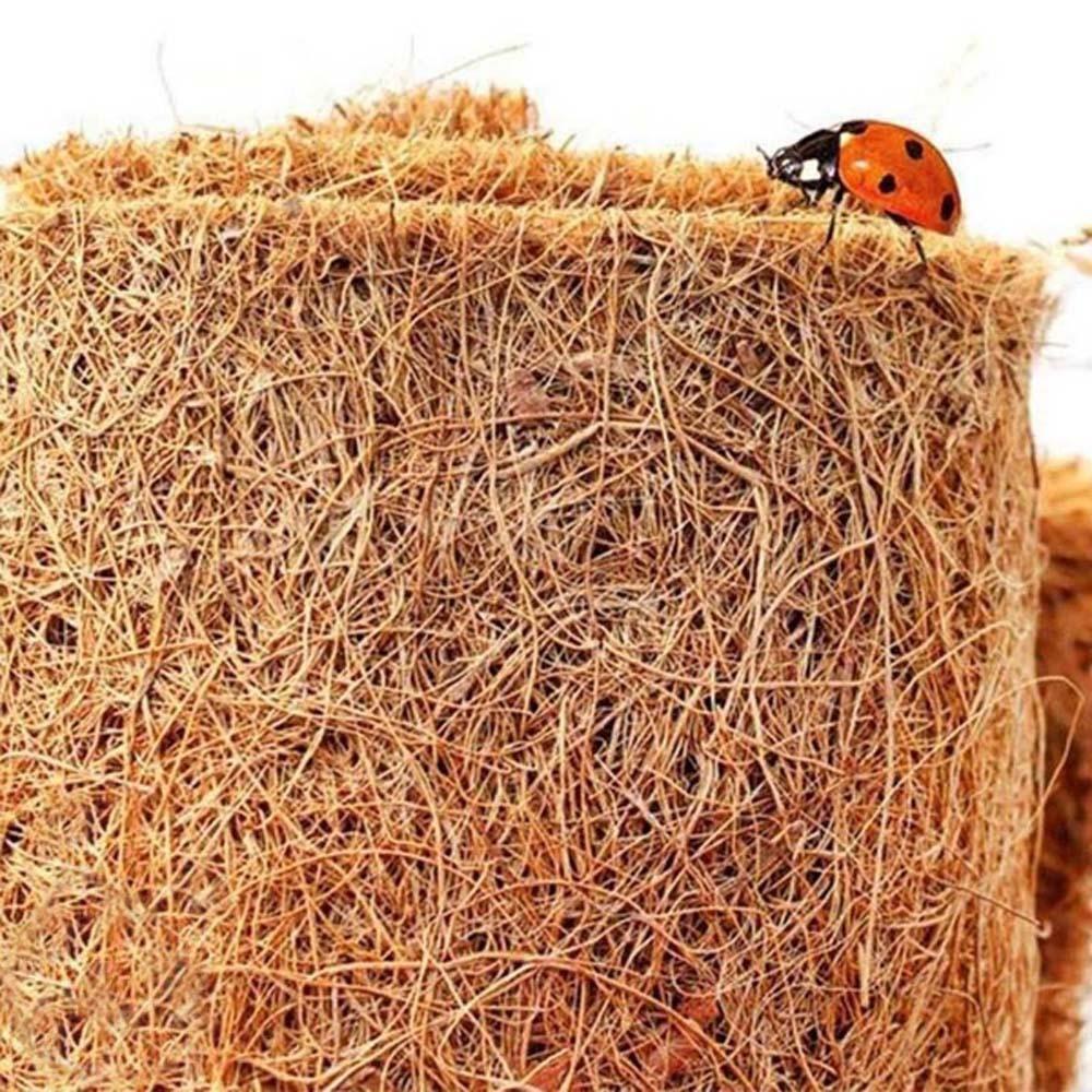 Thảm Sợi Dừa Mềm Mại Cho Bò Sát