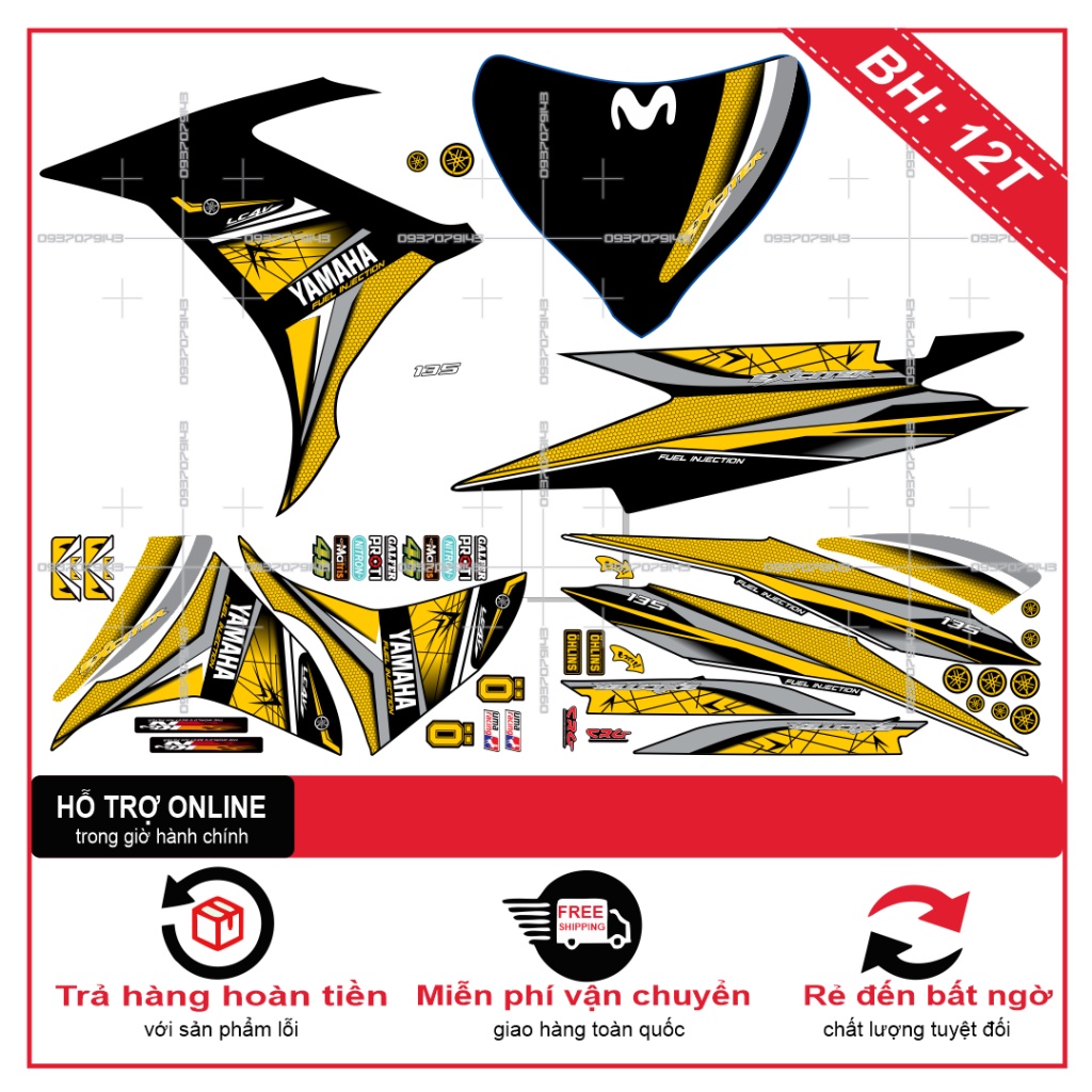 TEM RỜI EX 2011 CHẾ TỔ ONG SỌC CHÉO -- SHIN DECAL 2