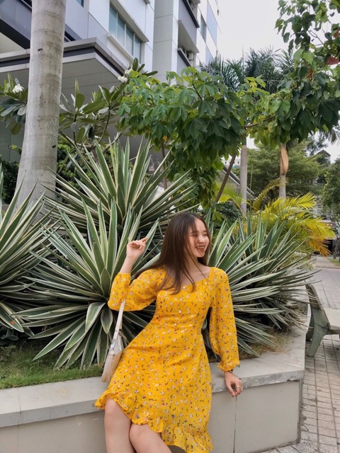 ĐẦM HOA NHÍ CHÂN BÈO