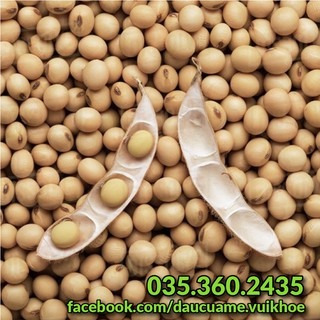 [ 1kg ] Đậu nành (đỗ tương, đậu tương) quê thuần chủng