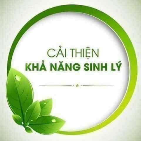 Mầm Đậu Nành nguyên chất Mẹ Ken Cải Thiện Nội Tiết Tố Tăng Size Vòng 1, Mờ Nám Tàn Nhang