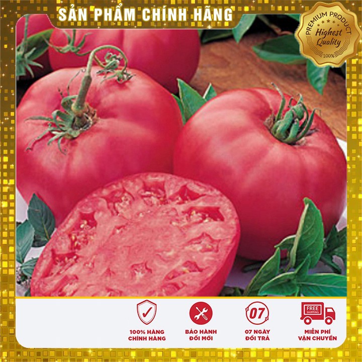 Hạt giống cà chua hồng LUCKY SEED -30 hạt