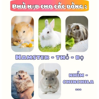 Dây dắt cho Hamster - thỏ - bọ - sóc