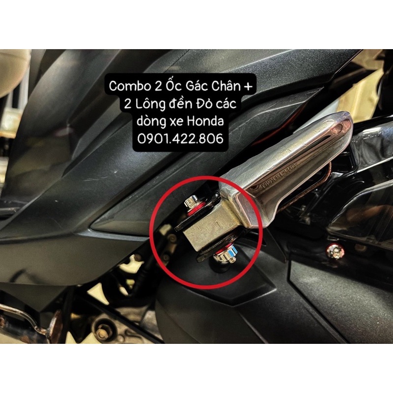 Combo Ốc Salaya 6li gắn gác chân kèm tán salaya và lông đền đỏ ✌