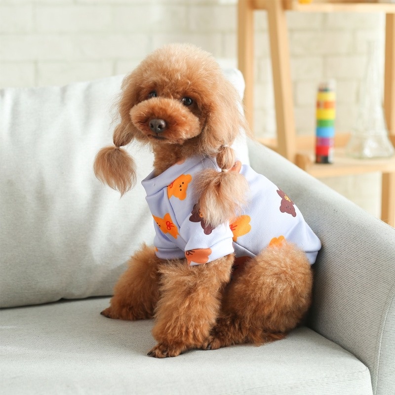 Áo len giữ ấm có lỡ lớn cho thú cưng